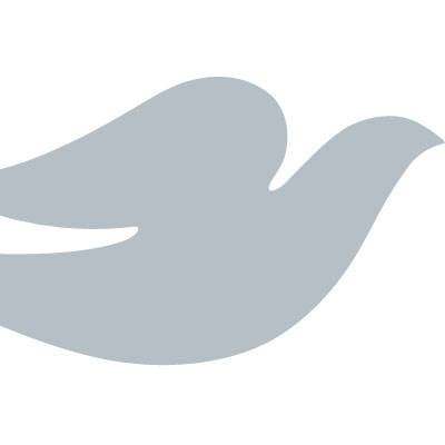  Dove 