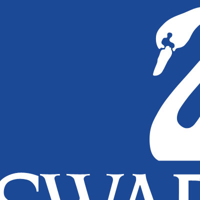  Swarovski 